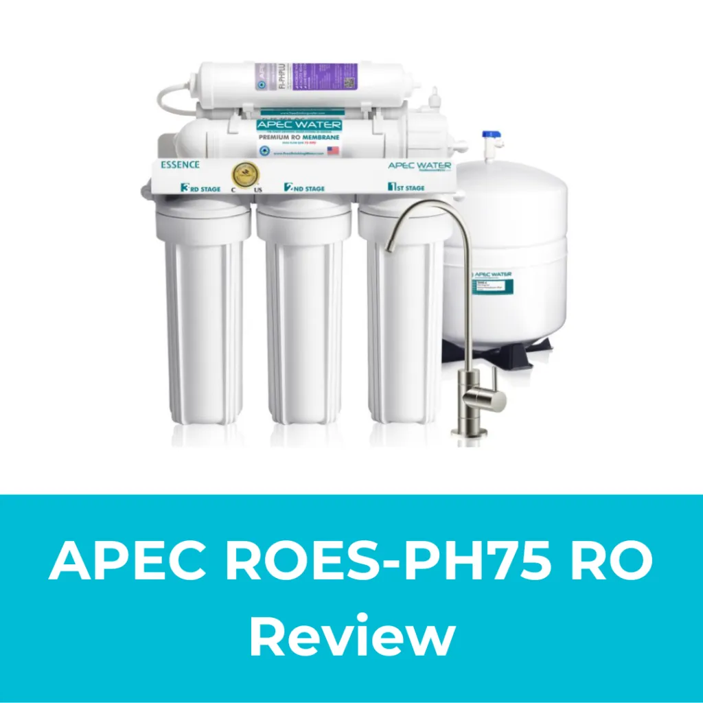 APEC ROES_PH75 RO Review